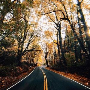 Meet your Posher, Sasamantha